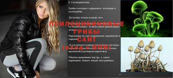 круглые Аркадак
