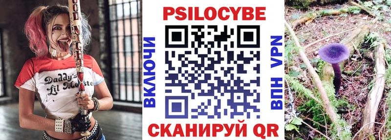 Галлюциногенные грибы Psilocybine cubensis  Онега 